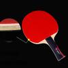 8 Stars Table Tennis Bats 5 Layers of Wood 2 Layers of Carbon Fiber Professional Ping Pong Racket Suitable for All Level/As Shown/Long Handle (As Shown Short Handle) view 2