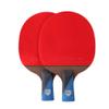 2 Table Tennis Bat Pure Wood and Carbon Fiber Ping Pong Paddle for Beginner and Intermediate / 5 Stars/Short Handle (5 Stars Short Handle) view 1