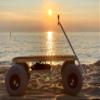 Alumacart eFoil Board Buggy-Haul Your efoil to The Shore with Ease! Made in The USA! view 2