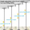 JXYQZD Pole Dance Pole for Home, Removable Spinning Static Dancing Pole, Adjustable Height for Home Bedroom Apartment Club, Loads 440lbs view 3