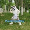 PROPSCOS Fox Dog Husky Furry Cartoon Mascot Costume Fursuit Halloween Outfit (XXL) Multicolored view 2