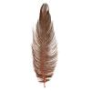 MFC Ostrich Plume Brown view 1