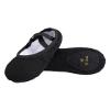 Canvas Ballet Shoes for Girls/Women Black view 1