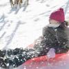 Winter Sledges, Children's Sledges, Thickened Flying Fish Sledges, Adult Wear-Resistant Skis, Thickened Anti-Freezing Sledges view 2