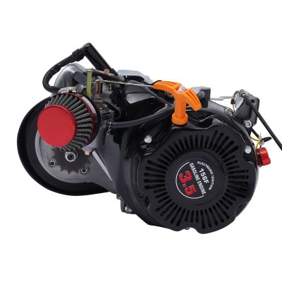 PIAOCAIYIN 100CC 4 Stroke Bicycle Engine Kit, 3HP Gas Motorized Engine, Recoil Start, OHV, Single-Cylinder, 3600rpm, Bicycle Modified Motor Kit for Beach Bikes -w/Belt