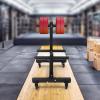 BANLICALI Dumbbell Rack Q235 Steel Double Column Mobile Dumbbell Piece Holder with Wheel, 500kg Load Capacity Dumbbell Rack Weight Rack for Dumbbells, for Home Gym Hotels Black view 4