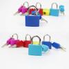 Hlsicnalm 10 Pack Suitcase Locks Easy Carrying with Keys,Multicolor Small Luggage Padlocks Metal Padlocks for School Gym Classroom Matching Game view 3