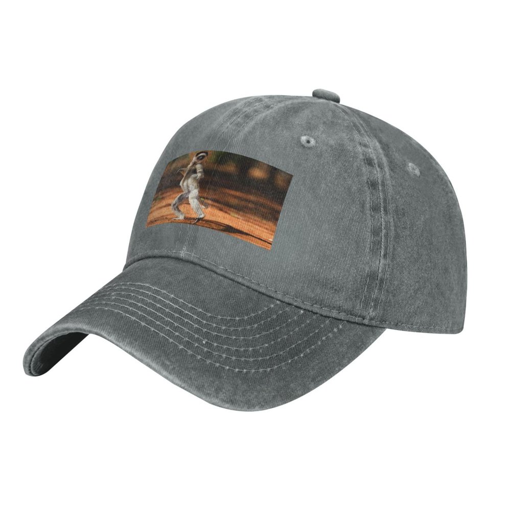 LIFANGMI Cute Monkeys Baseball Cap for Men Women Hats Adjustable Vintage Cowboy Hat Sun Hat Gray
