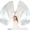 2 Set 55" Worship Flags for Dance Praise Dance Flags with Scalable Rods - Praise Flag for Dance Church Practice Performance(Transparent)