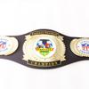 guancrown Fantasy Football Championship Belt - Adjustable Official Fantasy Football Belt - First Place Winner Award for Fantasy Football League view 4