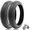 2 Pack Bike Fat Tire 76-406/20x3.0 for e Bike| 20 x 3.0 Bicycle Tire | 20" Electric Bike Tires | Replacement Tire Compatible with Urban Mountain or Three-Wheeled Bicycle | 30 PSI view 1