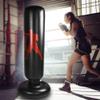 Gavigain Inflatable Boxing Punching and Kicking Training Bag Durable PVC Material Boxing Target Inflatable Sandbag for Indoor and Outdoor Use view 4