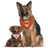 Pets First Collegiate Pet Accessories, Reversible Bandana, Texas Longhorns Size XX-Large view 4
