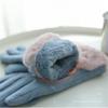 BKEKM Winter Gloves Plus Velvet Cycling Gloves Thickened Thermal Glove Leather Mittens Gloves Touch Screen Outdoor Warm Gloves view 1