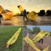 CMYUN Dragon Poi Silk Ribbon Dancer with Dragon Phoenix Pattern, Washable Gymnastics Dragon Poi Kite Streamers with Head, Adult Seniors Exercise Twirler (Color : Yellow, Size : Length - 8m/26ft) view 2