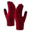 BKEKM Knit Gloves Touch Screen Winter Gloves 1 Pair Women Gloves Windproof Plush Knitted Color Matching 20 X 12 Cm Warm Gloves view 1
