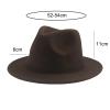 Kid Boys Girls Wool Felt Cowboy Hat Classic Wide Brim Fedora Hat Panama Cap Jazz Hats Fashion Clothes Accessories (Coffee, 4-10 Years) view 3