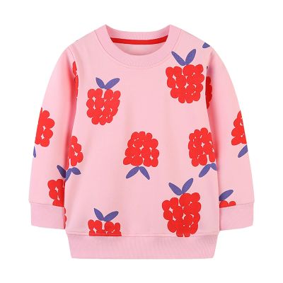 EnJoCho Toddler Clothing Little Girls 2024 Round Neck Long Sleeve Fall Berry Pattern Tops Party School Wear (Pink, 3 Years)