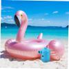 BESPORTBLE Air Pump for Inflatables Electric Inflator Pool Floats Pump Home Inflator Quick Inflation Deflation Camping view 3