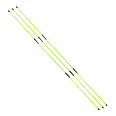 Asyxstar Golf Alignment Stick - Golf Sticks Alignment Aid 48" Golf Alignment Rods 2 Pack for Aiming, Putting, Full Swing Trainer, Posture Corrector Golf Training aid with Clear Tube Case