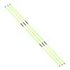 Asyxstar Golf Alignment Stick - Golf Sticks Alignment Aid 48" Golf Alignment Rods 2 Pack for Aiming, Putting, Full Swing Trainer, Posture Corrector Golf Training aid with Clear Tube Case