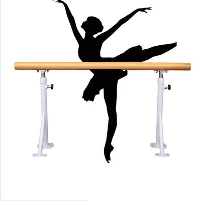 zklaseot Stair Handrail, Ballet Barre, Dance Bar, Family Floor-Standing Indoor Adjustable Ballet Rod for Kids Adults Stretching Fitness (Color : Beige, Size : 1m)