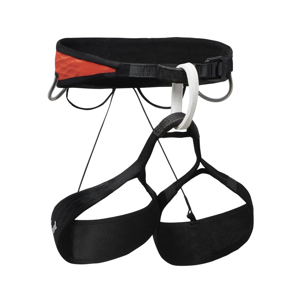 BLACK DIAMOND Womens Airnet Rock Climbing Harness, Octane, Large, BD6511088001LRG1