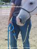 Mad Dog Products 5/8" x 12' Camo Horse Lead with Heavy-Duty Brass Snap - Made in USA view 4