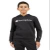 Champion Boys Hoodie for Kids Sweatshirt Fleece Youth Pullover With Hood view 2