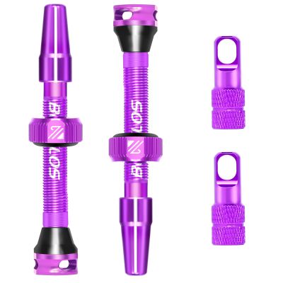 BUCKLOS Tubeless Presta Valve Stem 40/44/55/60/65/80/100 mm, Valve Stem Kit with Valve Core Removal Tool for Road Bike/Mountain Bike/MTB, Fit Most Bicycle Rims, Super Light Durable Aluminum Stem