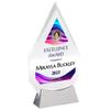 9 1/4" Personalized Glass Plaque for Awards and Trophies, Custom Award for Employee of the Month, Retirement, Leadership and Appreciation Gift N (D6) view 1