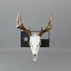 State Specific European Mount Skull Hanger. Choose Your State! Customize Your Euro Mount Hanger with Engravings! Secure Your Deer Skull Mount with Style! (Texas State Flag) view 3