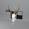 State Specific European Mount Skull Hanger. Choose Your State! Customize Your Euro Mount Hanger with Engravings! Secure Your Deer Skull Mount with Style! (Texas State Flag) view 4