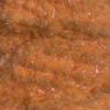 Big T Fly Fishing Eggstatic by Semperfli view 1