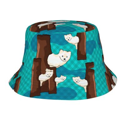 Cute Little Raccoon Unisex Lightweight Breathable Foldable Sun Hat for Outdoor Activities Travel Camping Fishing Hat Black