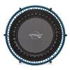 JumpSport 39 PRO Fitness Trampoline for Adults, Model 350 PRO view 1