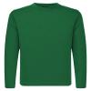 QBK 3T to Youth Neon Shirt Kids UPF 50+ Dry Fit Athletic Long Sleeve T Shirts for Boys and Girls-Moisture Wicking Rash Guard (Kelly Green 4T) view 1