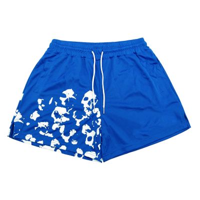 DIOTSR Mens Graphic Print Shorts Cool Mesh Basketball Shorts Casual Flat Front Shorts Summer Drawstring (Blue, X-Large)