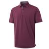 Mens Polo Shirts Short Sleeve Dry Fit Moisture Wicking Tech Performance Casual Sport Solid Golf Shirts for Men view 1
