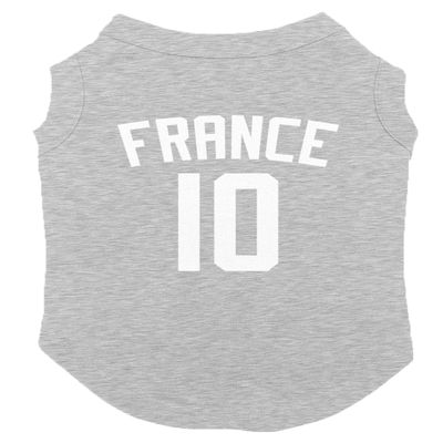 France Jersey - Soccer Sporty Dog Shirt (Light Gray, X-Small)