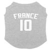 France Jersey - Soccer Sporty Dog Shirt (Light Gray, X-Small) view 1