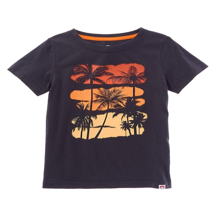 Appaman Boys' Sunset Palm Tree Graphic Tee (Toddler/Little Big Kid), Dark Grey