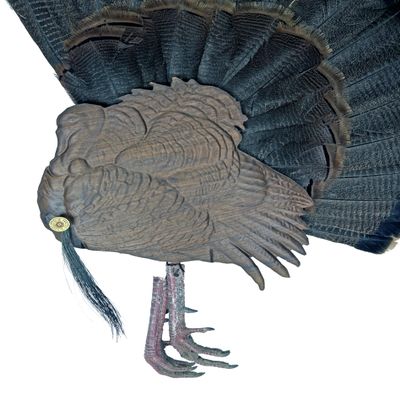Walnut Turkey Bust Display for Tail, Beard, Spurs, Shotgun Shell, & Fan - Unique Plaque (Feet w/Spurs)