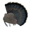 Walnut Turkey Bust Display for Tail, Beard, Spurs, Shotgun Shell, & Fan - Unique Plaque (Spurs Only) view 2