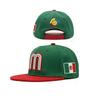 1 Mexican National Flag Baseball Cap, Mother and Child M Embroidered Logo hat(Green) view 1