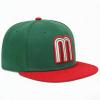 1 Mexican National Flag Baseball Cap, Mother and Child M Embroidered Logo hat(Green) view 2