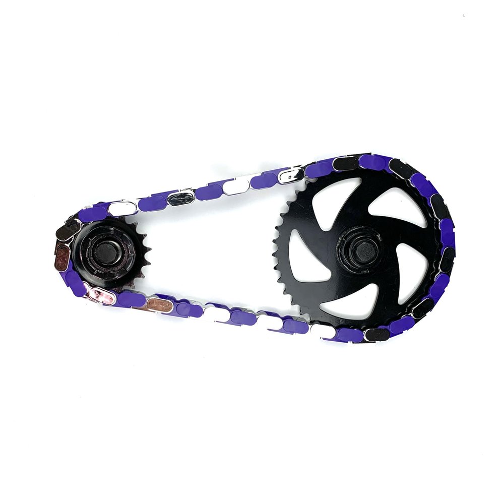 Insane Chains Bicycle Chain Cover Protects Your Clothing Against Chain Lube and Adds Style - Easy Installation No Tools Required Single-Speed or Fixed-Gear Bikes Only (Chrome-Purple, Toddler)