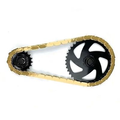 Insane Chains Bicycle Chain Cover  Protects Your Clothing Against Chain Lube and Adds Style - Easy Installation  No Tools Required  Single-Speed or Fixed-Gear Bikes Only (Gold-Solid, Toddler)