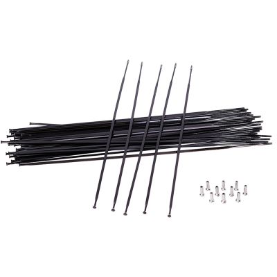Bioparty Mountain Bike Road Bicycle Straight Pull Spokes with Nipples 26 650B 27.5 29 700C Wheels (Color : 292mm)