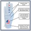 Scale Wear Design Trump Funny Golf Gloves Mens - Cabretta Leather Golf Gloves with President Donald Trump Shocker Gloves Attire and Essentials for Men Fun Golfer Gag Gift Right Left Hand S Thru XXL view 2